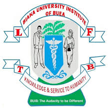 BIAKA logo